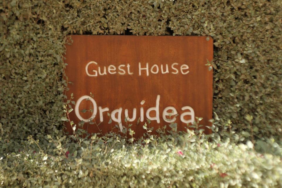Guest House Orquidea Сал-Рей Экстерьер фото